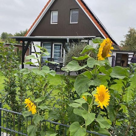 Ferienhaus Kiebitz Dorumer Neufeld Exterior foto